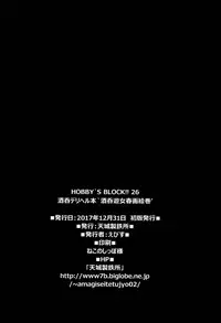 (C93) [Amagi an Ironworks (Ebisu)] HOBBY'S BLOCK!!26 (Fate Grand Order)