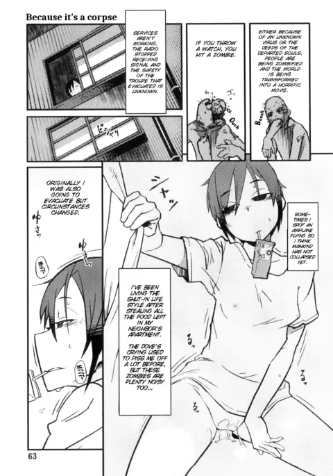 PM3-12 no Reizouko