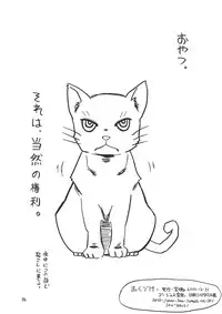 (C79) [Takaradamashii (Gorgeous Takarada)] So no Na wa Brassiere. (Original)