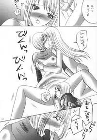 (C73) [Otome no Eden (MIYU)] Claymore no 3P Bon DX (CLAYMORE)