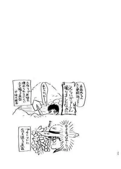 Tsume
