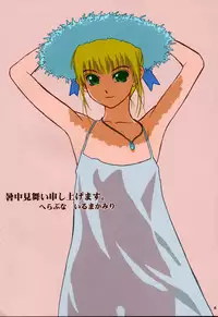 (C68) [Hellabunna (Iruma Kamiri)] Mubou Deshita. (Gundam SEED Destiny) [Colorized]