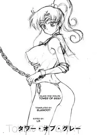 [BLACK DOG (Kuroinu Juu)] Tower of Gray (Bishoujo Senshi Sailor Moon) [2010-02-22] [English] [Blain007]
