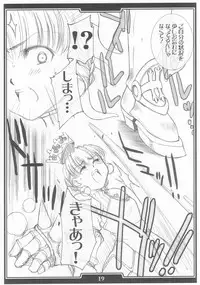 (C68) [H.B (B-RIVER, Rai Su Min)] Ou to Joou (Fate/stay night, Princess Crown)