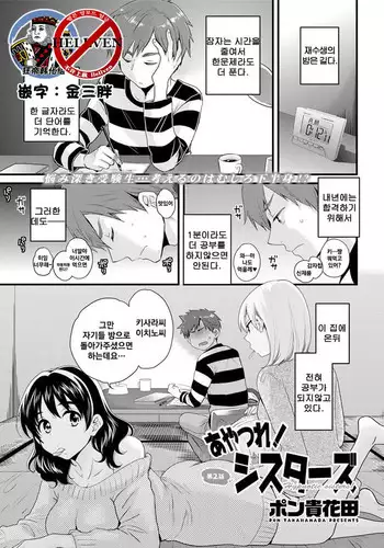 去年のふし研本
