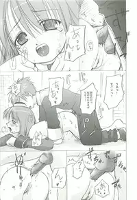 (SC23) [PARANOIA CAT (Fujiwara Shunichi)] Himitsu no Guild ni Goyoujin 1+2+α (Ragnarok Online)