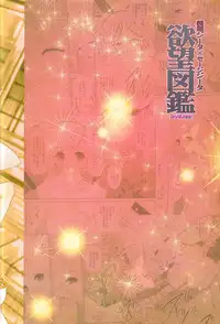 (C91) [LolikyoNEW! (Enu-yamayama)] Gizoku Djeeta x Sage Djeeta Yokubou Zukan (Granblue Fantasy)