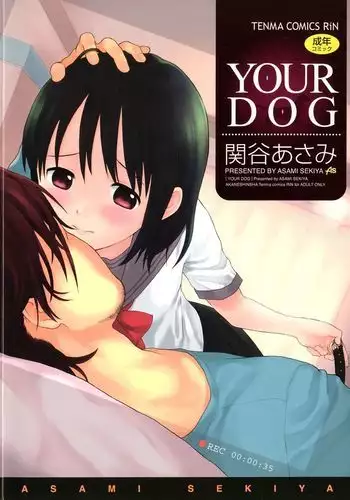 暑い日のおわりに