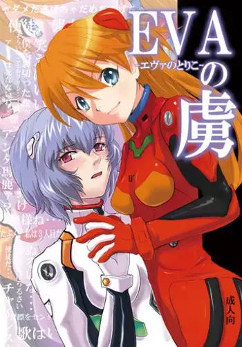 (C76) [Nounai Kanojo (Kishiri Toworu)] I Can (Not) Choose (Neon Genesis Evangelion)