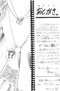 (C45) [Big Mouse (E-Y)] R2 (Bishoujo Senshi Sailor Moon)