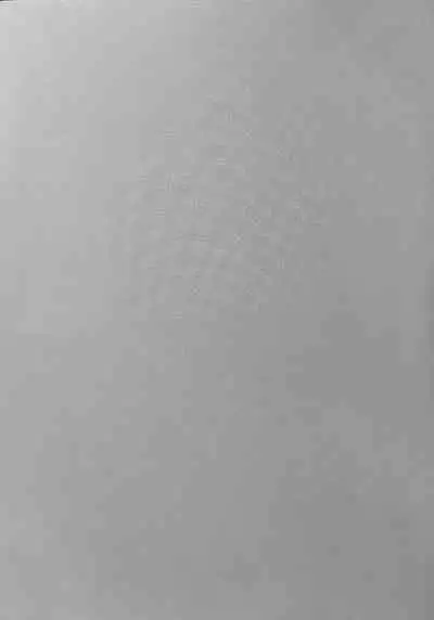 Neko no Iru Seikatsu | 有猫的生活