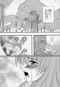 (C75) [SLASH (Mitsurugi Aoi)] return to lover (Final Fantasy V)